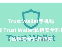 Trust Wallet手机钱包下载 Trust Wallet私钥安全料理指南