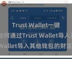 Trust Wallet一键下载安装 如何通过Trust Wallet导入其他钱包的财富？